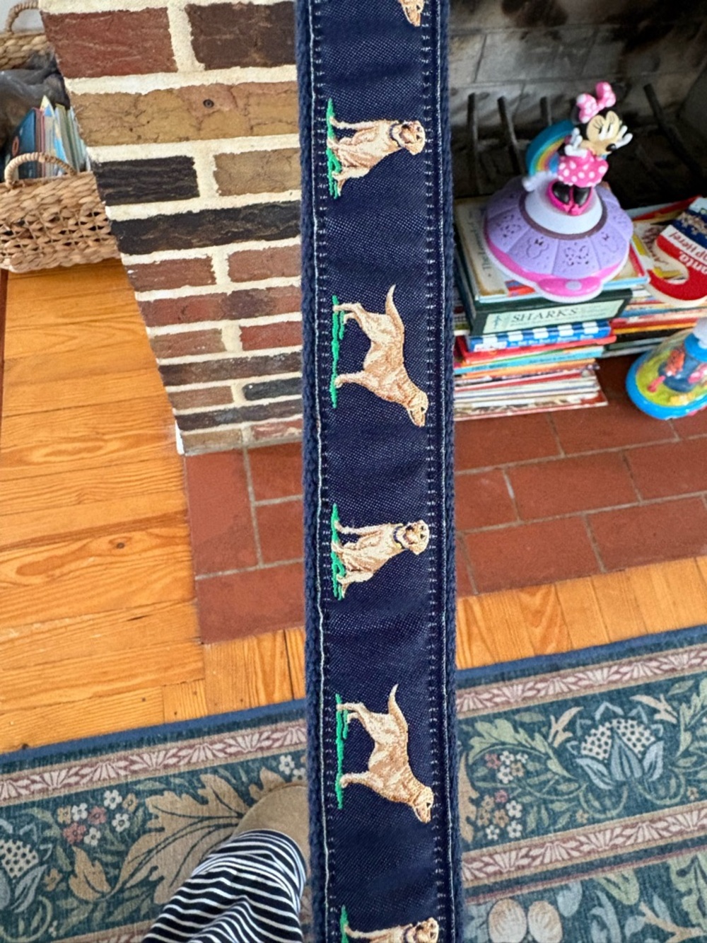 Alynn Men’s Blue Embroidered Dog Motif Casual Belt 1in Wide Adjustable 29-42W